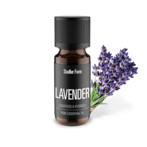 Essential oil Lavender