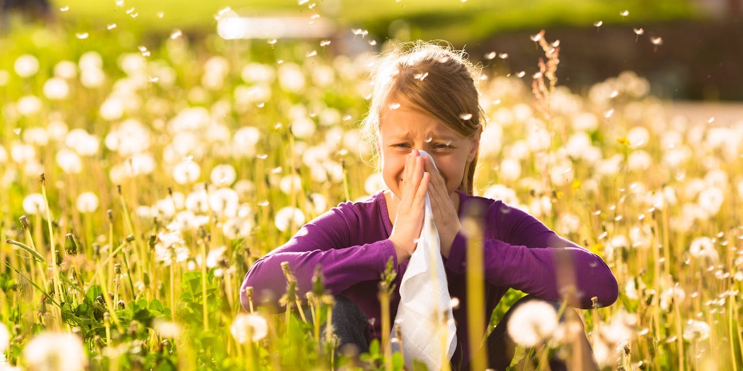 Allergy? What allergy sufferers need to know